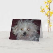 悪い毛日-犬および人々のユーモア カード (黄色い花)