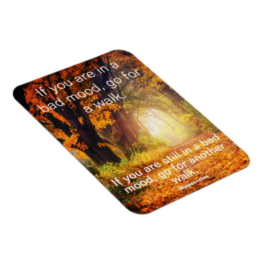 悪い気分 – 散歩に行く、やる気を起こさせる引用文 マグネット (右側)