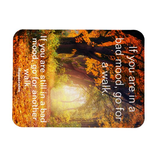 悪い気分 – 散歩に行く、やる気を起こさせる引用文 マグネット (横)