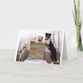 悪い犬たちはサンタに向かうばかりだ。 カード