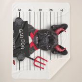 悪い犬 シェルパブランケット (正面)