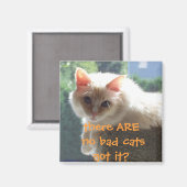悪い猫はいな得い…? マグネット (正面/裏面)