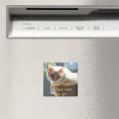 悪い猫はいな得い…? マグネット (インサイチュ (食洗機))