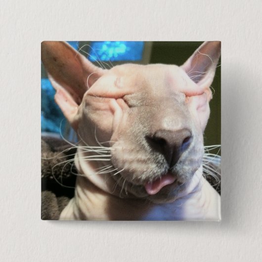 悪い角氷 缶バッジ (正面)