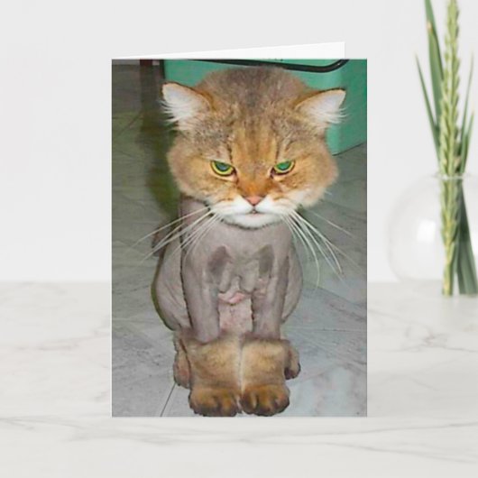 悪い誕生日 カード (正面)