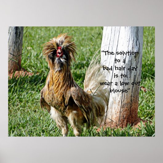 悪い髪の日のユーモアの解決策 ポスター (正面)