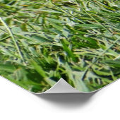 悪い髪の日のユーモアの解決策 ポスター (角)