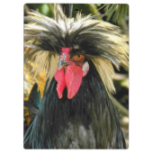 悪おもしろい髪デイチキンミーム クリップボード (裏面)