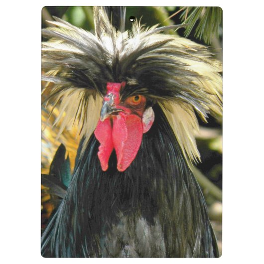 悪おもしろい髪デイチキンミーム クリップボード (裏面)