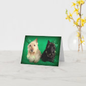 悪ふざけ カード (黄色い花)