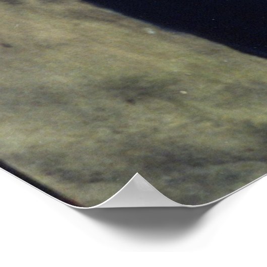 悪事は見ぬ ポスター (角)