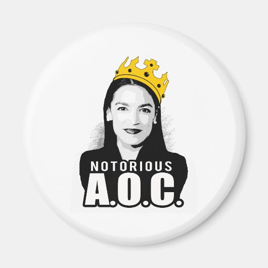 悪名高いAOC マグネット (正面)