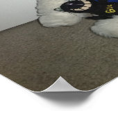 悪夢の猫、アーチャー、ポリー ポスター (角)