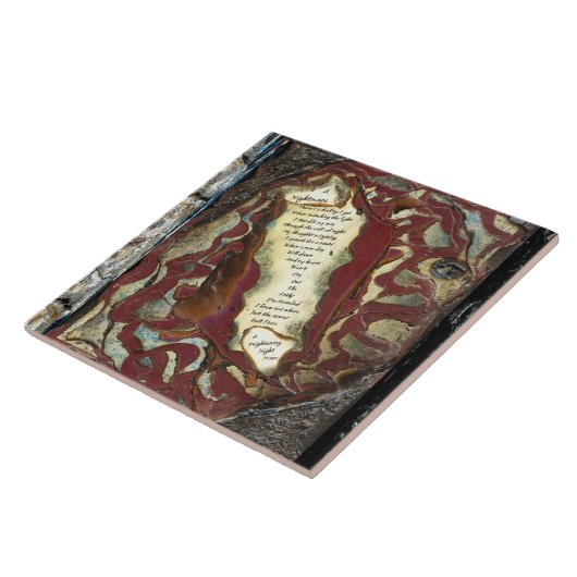 悪夢 タイル (側面)