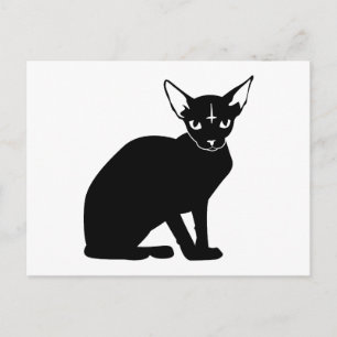 悪子猫 ポストカード