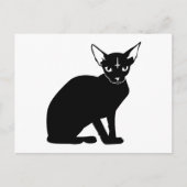 悪子猫 ポストカード (正面)