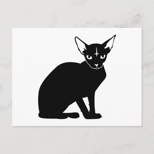 悪子猫 ポストカード (正面)