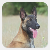 悪性疾患 スクエアシール (正面)