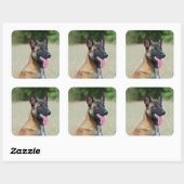 悪性疾患 スクエアシール (シート)