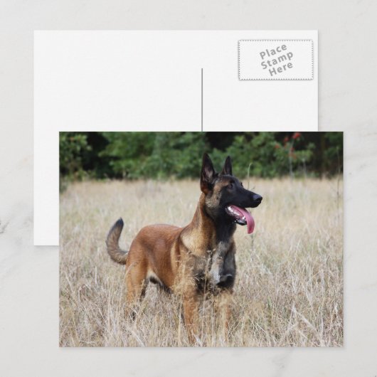 悪性疾患 ポストカード (正面/裏面)