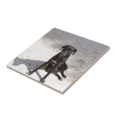 悪意に満ちた目をした黒犬 タイル (側面)