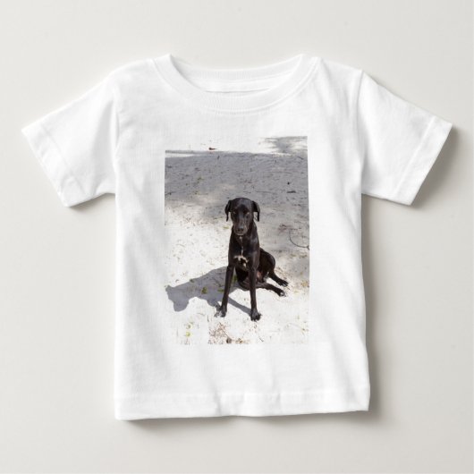 悪意に満ちた目をした黒犬 ベビーTシャツ (正面)