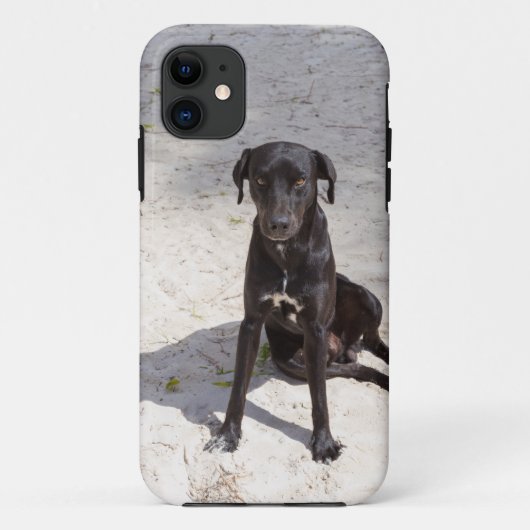 悪意に満ちた目をした黒犬 Case-Mate iPhoneケース (裏面)