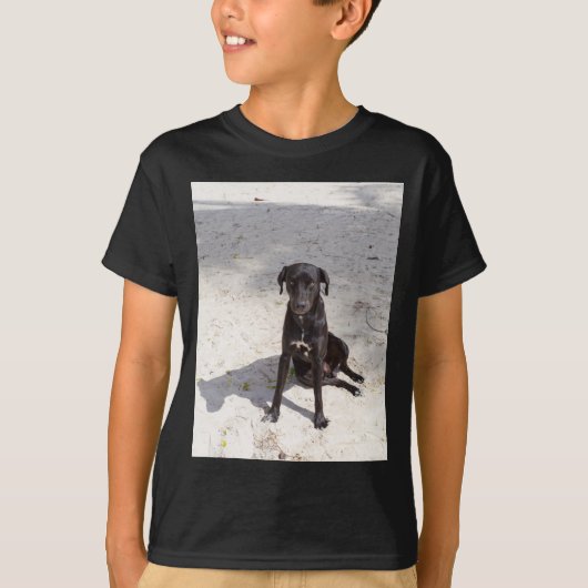 悪意に満ちた目をした黒犬 Tシャツ (正面)