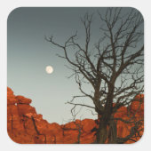 悪月 スクエアシール (正面)