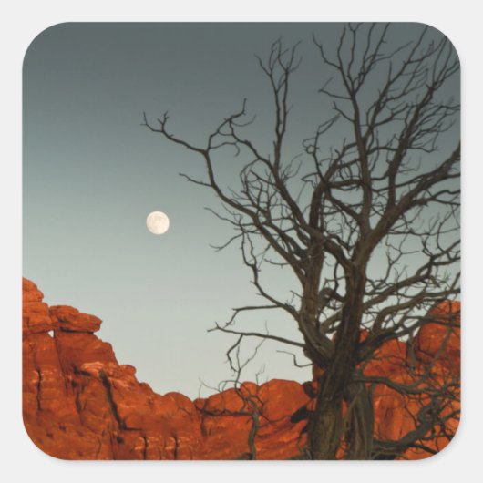 悪月 スクエアシール (正面)