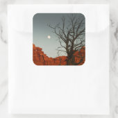 悪月 スクエアシール (バッグ)