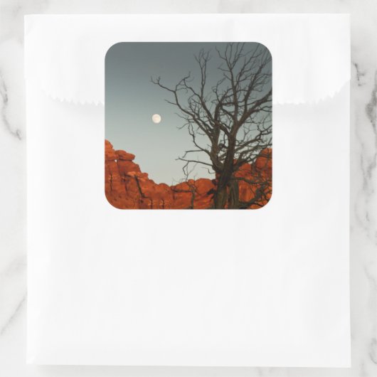 悪月 スクエアシール (バッグ)