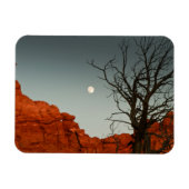 悪月 マグネット (横)