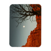 悪月 マグネット (縦)