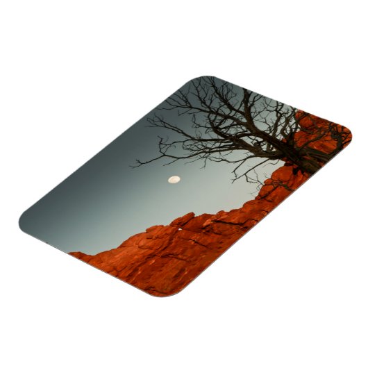 悪月 マグネット (左側)