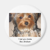 悪犬 マグネット (正面)