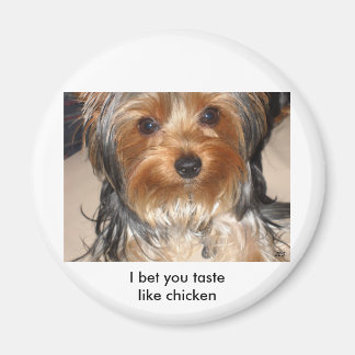 悪犬 マグネット