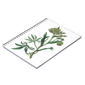 悪臭のするヘレボア緑の花の赤い縁の植物 ノートブック (左側)