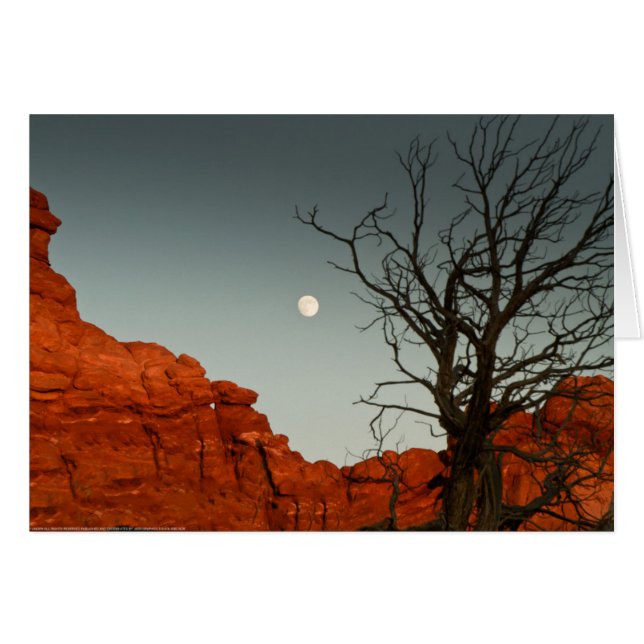 悪賢い月 (正面横)