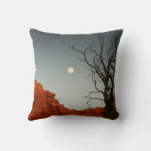 悪賢い月 クッション (裏面)