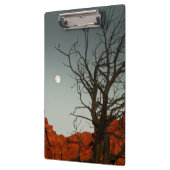 悪賢い月 クリップボード (左)