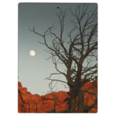 悪賢い月 クリップボード (裏面)