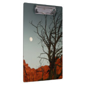 悪賢い月 クリップボード (右)