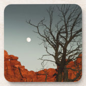 悪賢い月 コースター (正面)