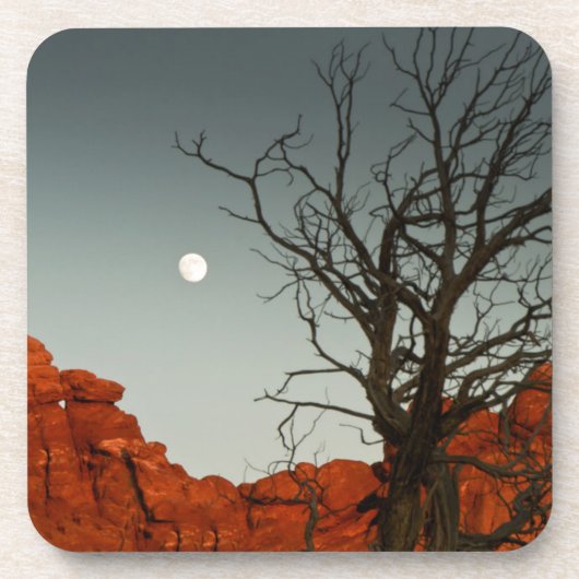 悪賢い月 コースター (正面)