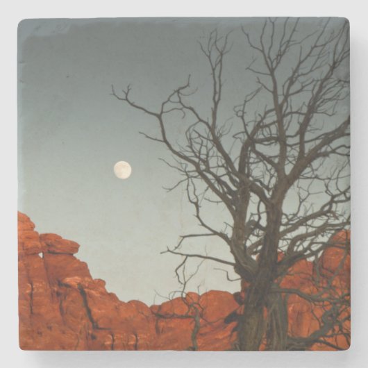 悪賢い月 ストーンコースター (正面)