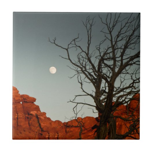 悪賢い月 タイル (正面)