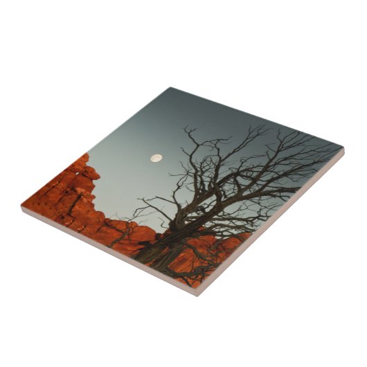 悪賢い月 タイル (側面)