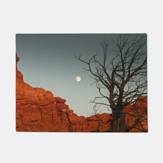 悪賢い月 ドアマット (正面)