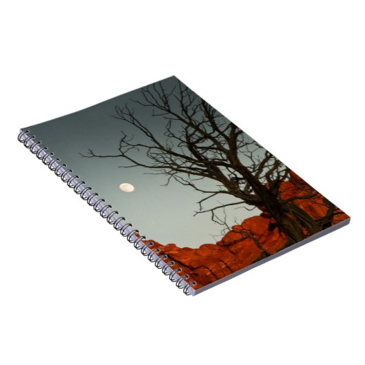 悪賢い月 ノートブック (右側)